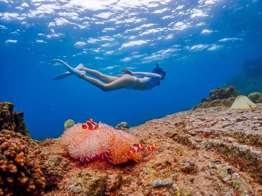 Bangkok: Nemo Island Day Trip with Drone Photos and Lunch - What makes this Nemo trip worth considering
