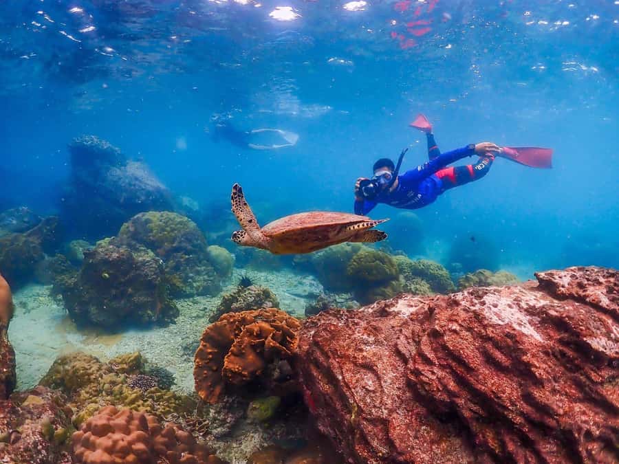 Bangkok: Nemo Island Day Trip with Drone Photos and Lunch - Who will enjoy this day most?