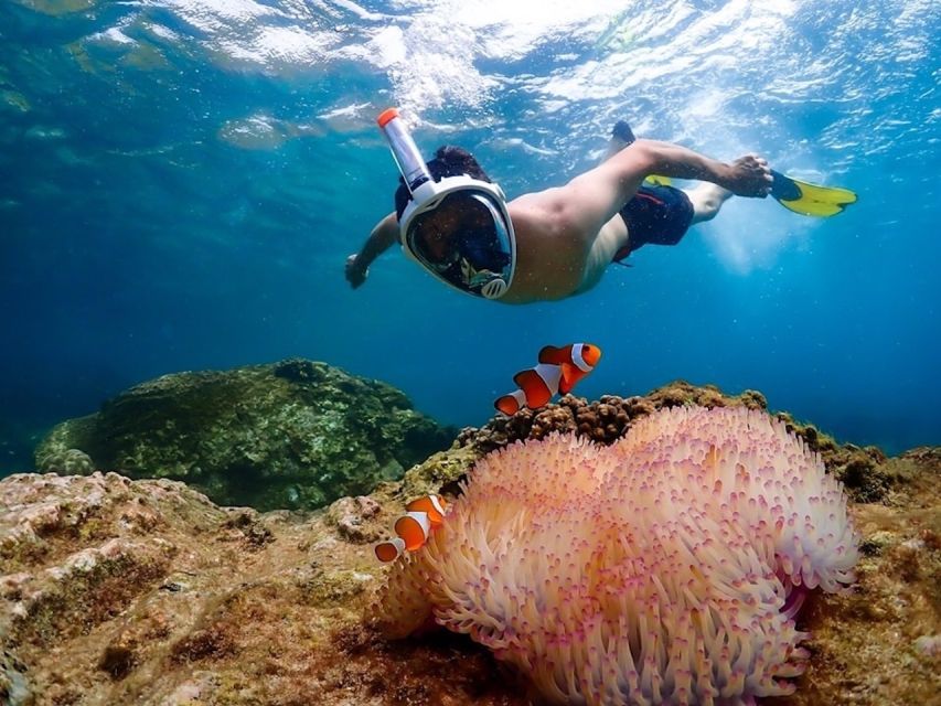Bangkok: Nemo Island Day Trip with Drone Photos and Lunch - Snorkeling with Nemo at 3 meters