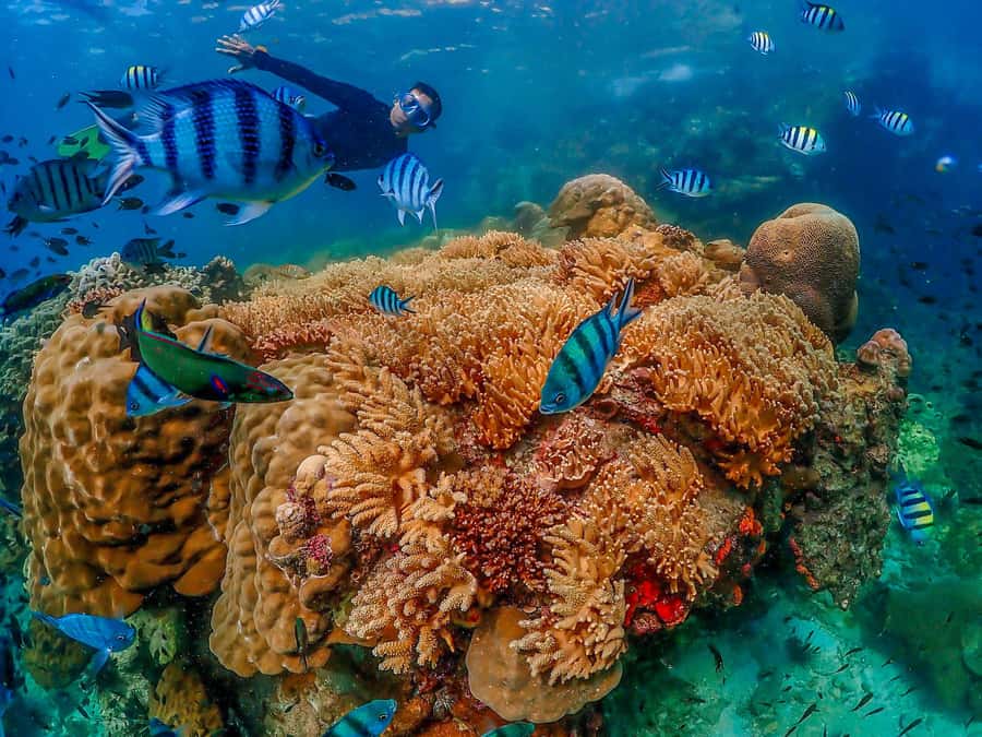 Bangkok: Nemo Island Day Trip with Drone Photos and Lunch - The 6-meter site offers more to see