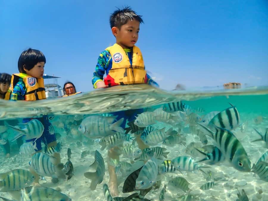 Bangkok: Nemo Island Day Trip with Drone Photos and Lunch - Photos, video, and the drone question