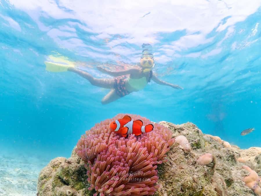 Bangkok: Nemo Island Day Trip with Drone Photos and Lunch - Khao Chi Chan gives the drive a worthwhile pause