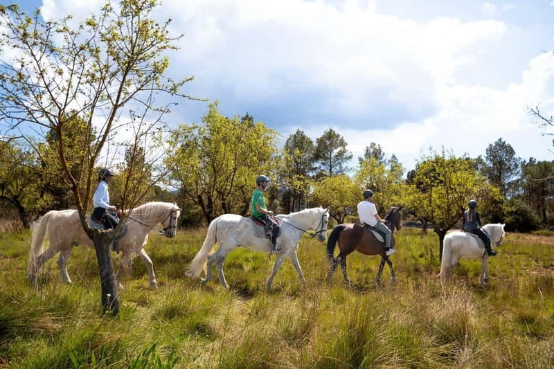 Barcelona: Walking and Horse Riding Day-Trip in Montserrat - Why Montserrat works as a day trip from Barcelona