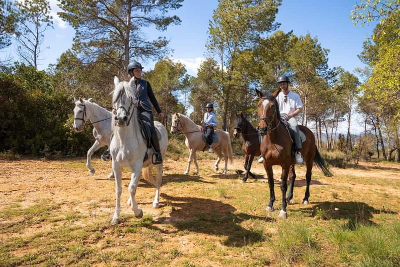 Barcelona: Walking and Horse Riding Day-Trip in Montserrat - The transport and timing you should expect