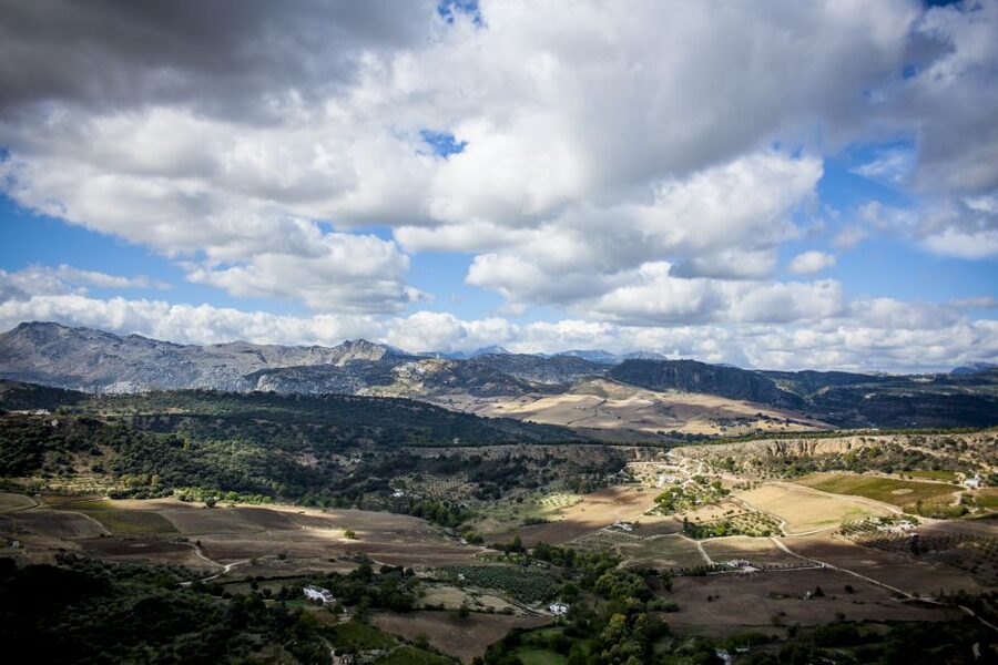 Best of Ronda: Guided Tour from Málaga - Group size, language, and guide quality