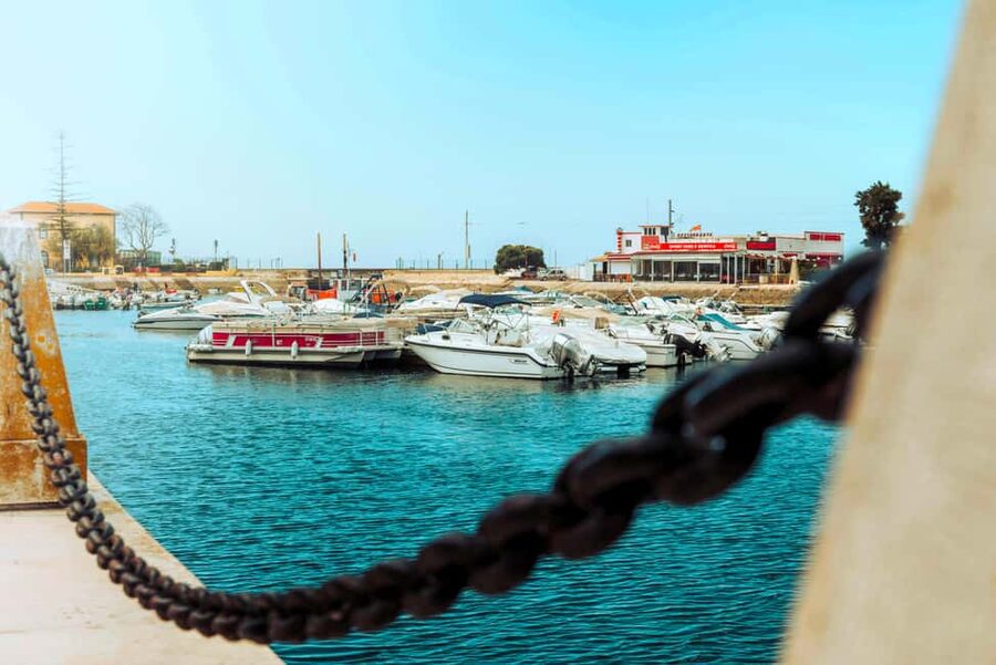 Best of the East: Day Trip to Faro, Olhão, Tavira, & more - The bus ride and the real length of the day