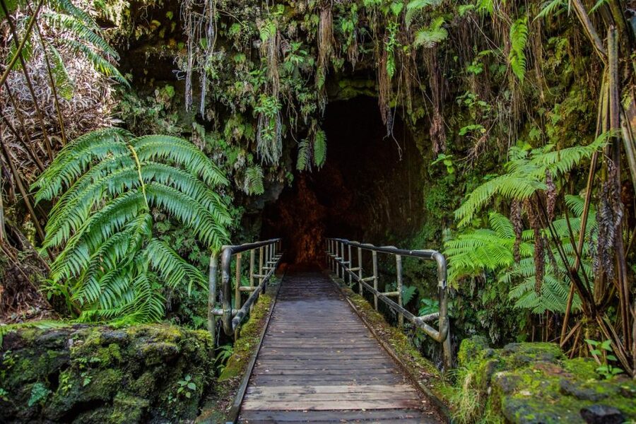 Big Island: Volcanoes, Waterfalls, & Coffee Farm Day-Trip - Punalu’u combines black sand and possible turtle sightings