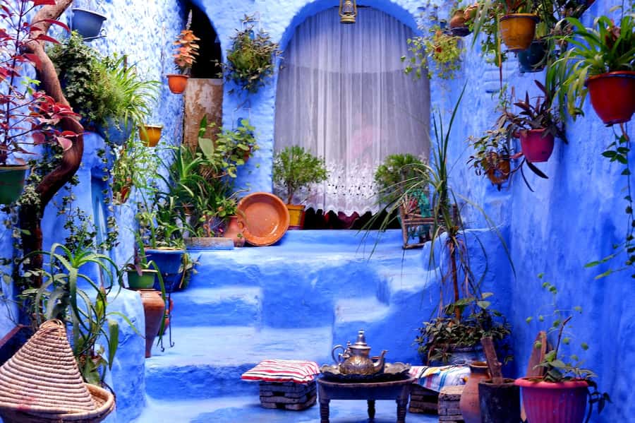 Blue City magic: Affordable Day Trip from Fez to Chefchaouen - Key points before you book