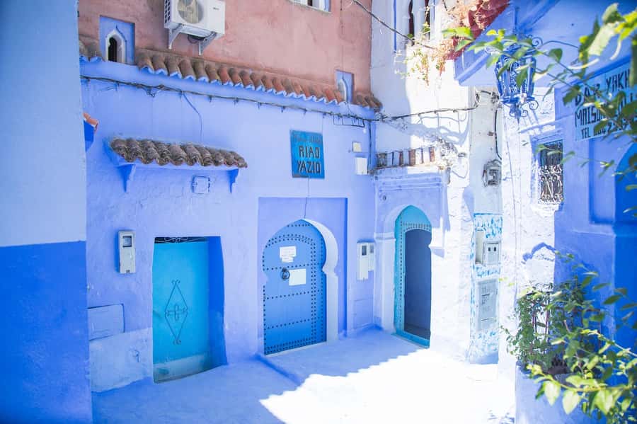 Blue City magic: Affordable Day Trip from Fez to Chefchaouen - The hilltop viewpoint frames the Blue City