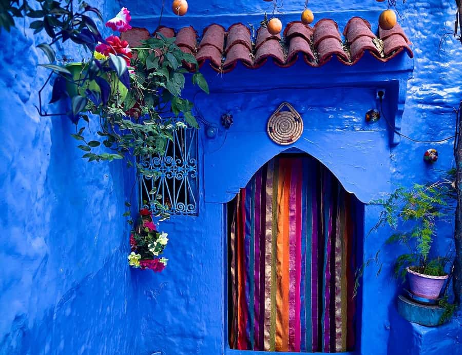Blue City magic: Affordable Day Trip from Fez to Chefchaouen - Pickup Near Bab Boujloud or Recif