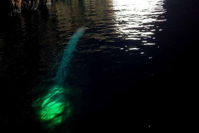 Blue & Green Cave Vis Island and Pakleni Islands Private Day Trip from Hvar - The Blue Cave requires a separate shuttle