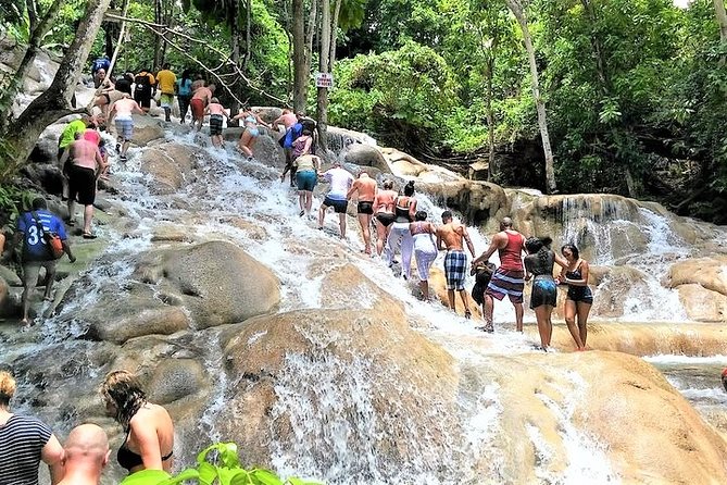 Blue Hole, Secret Falls, and Dunn's River Falls Combo Day-Trip - Blue Hole brings the biggest rush