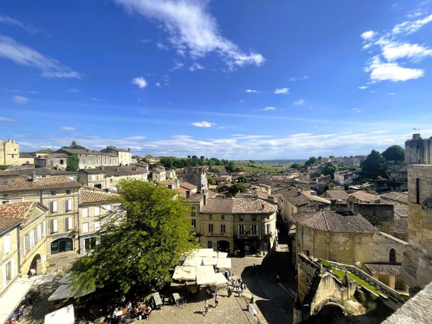 Bordeaux: Saint-Emilion Village Day Trip, 2 Chateaux & Lunch - What the guide adds to the day
