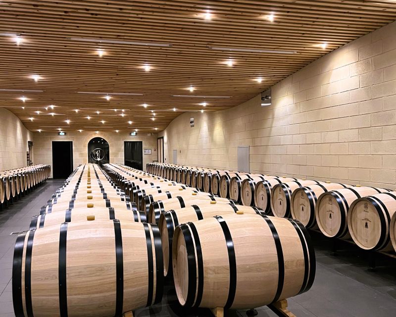 Bordeaux: Saint-Emilion Village Day Trip, 2 Chateaux & Lunch - Timing, walking, and comfort