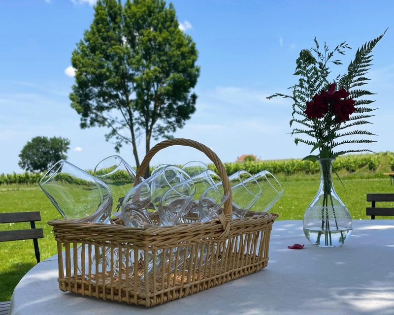 Bordeaux: Saint-Emilion Village Day Trip, 2 Chateaux & Lunch - Leaving Bordeaux from Place des Quinconces