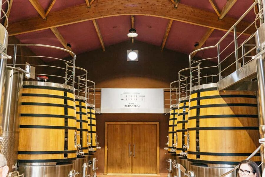 Bordeaux: St. Emilion Day Trip with Wine Tasting and Lunch - Is $187 a fair price?