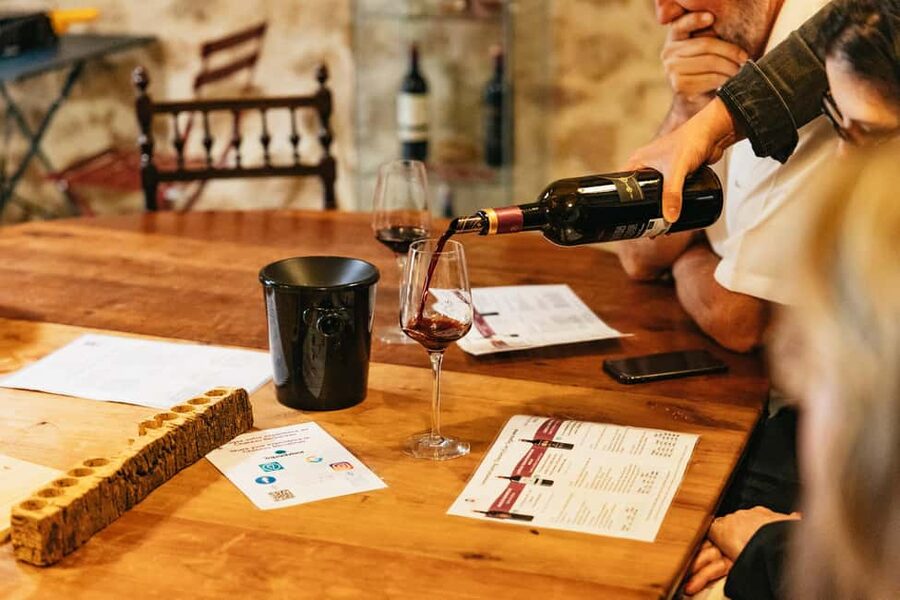 Bordeaux: St. Emilion Day Trip with Wine Tasting and Lunch - Who will enjoy this Saint-Émilion day?