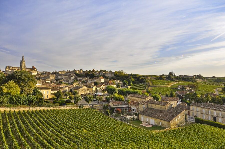 Bordeaux: Vineyards Wine Tasting Half-Day Trip - Entre-deux-Mers: a quieter wine-country route
