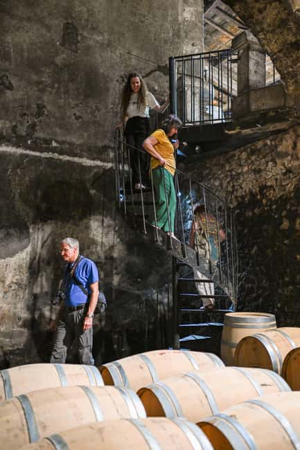 Bordeaux: Vineyards Wine Tasting Half-Day Trip - What the wine tasting is really like