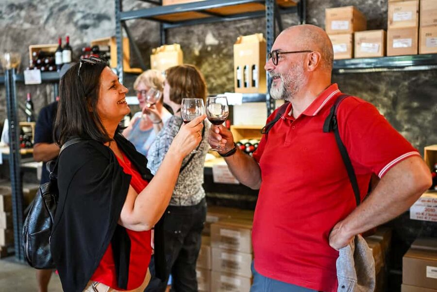 Bordeaux: Vineyards Wine Tasting Half-Day Trip - Guides, transport, and the feel of the group