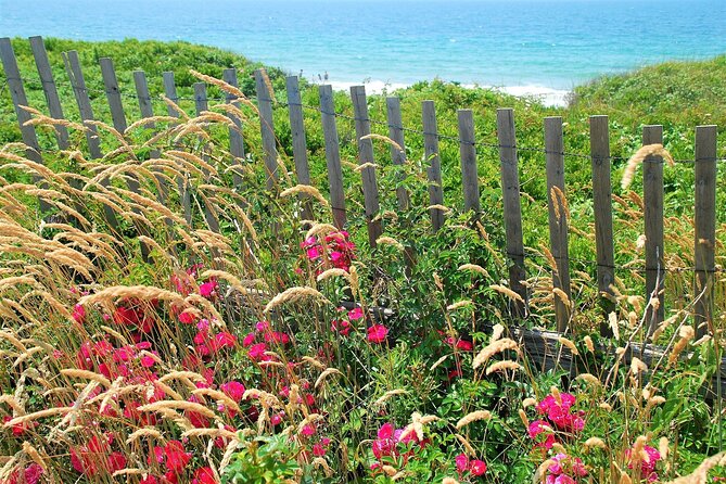 Boston to Martha's Vineyard Day Trip with Optional Island Tour - Aquinnah and Gay Head Light