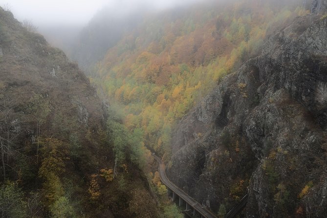 Brasov Private Tour: Transfagarasan road & Poienari Fortress - Poienari Fortress and the 1,480-step climb