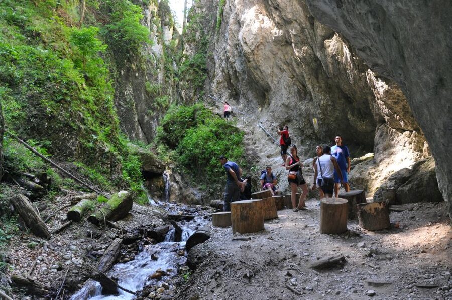Brasov: Small-Group 7 Ladders Canyon Day Trip - What makes this canyon trip worth your morning