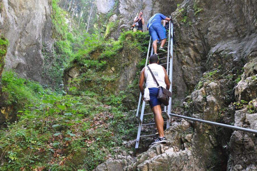 Brasov: Small-Group 7 Ladders Canyon Day Trip - The guides are a major part of the value