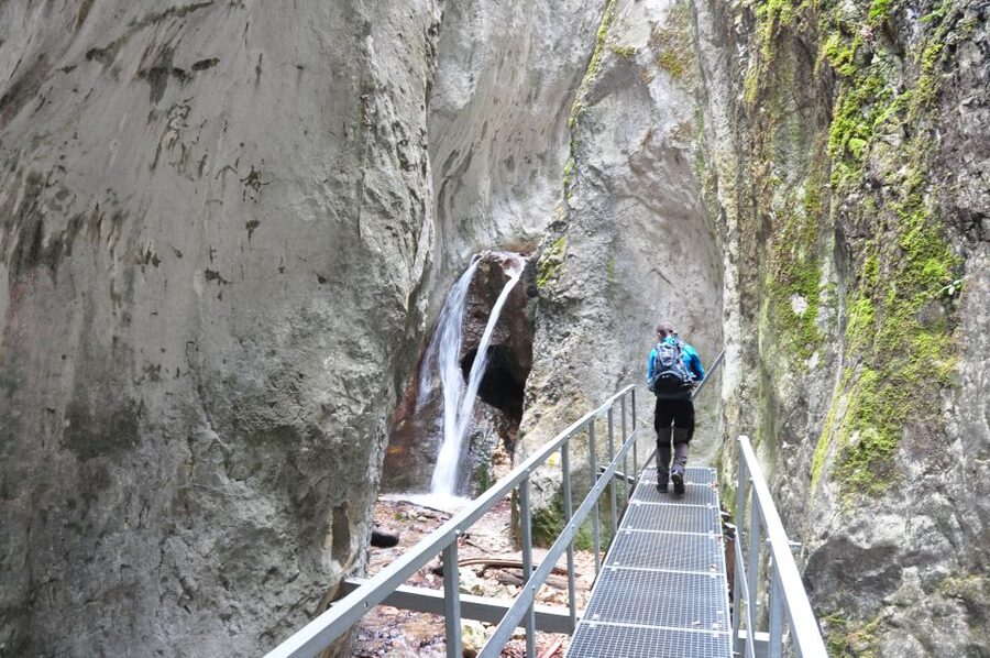 Brasov: Small-Group 7 Ladders Canyon Day Trip - How difficult is the hike?