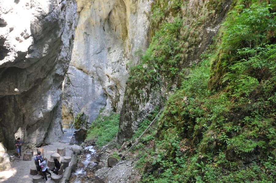 Brasov: Small-Group 7 Ladders Canyon Day Trip - What to bring and how to prepare