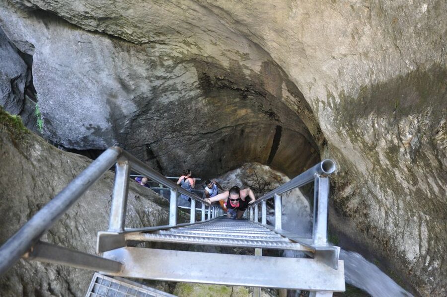 Brasov: Small-Group 7 Ladders Canyon Day Trip - The 45-minute forest walk to Seven Ladders Canyon
