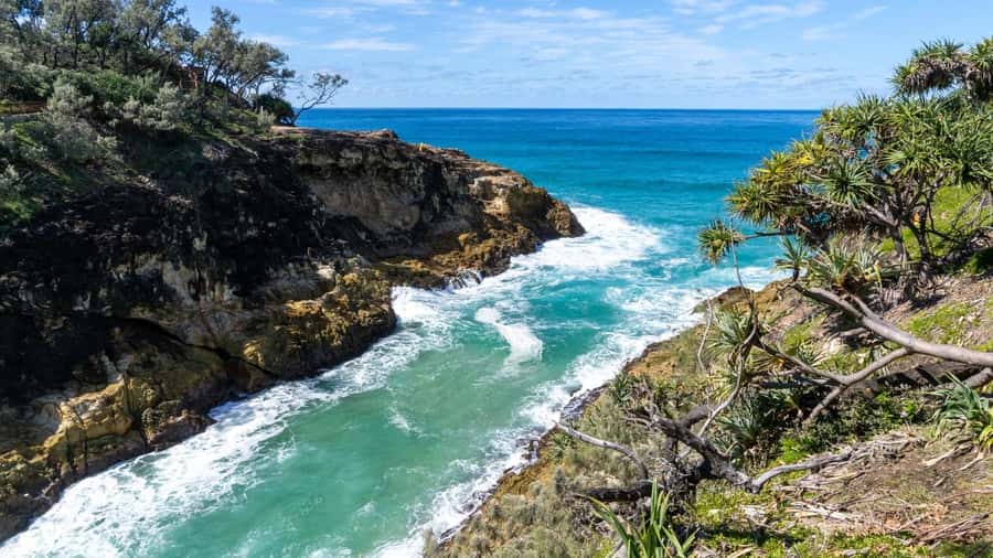 Brisbane to North Stradbroke Island Day: Wildlife & Beaches - Why Minjerribah makes a strong day from Brisbane