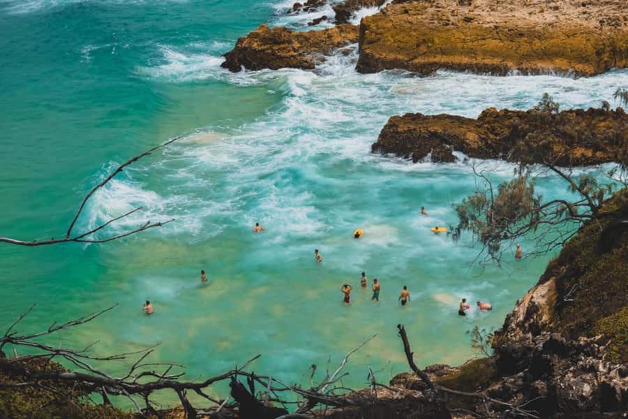 Brisbane to North Stradbroke Island Day: Wildlife & Beaches - Is $134 good value?