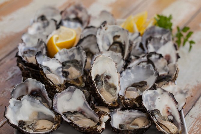Bruny Island Traveller - Gourmet Tasting and Sightseeing Day Trip from Hobart - Cheese, bread, beer, and the first tastings