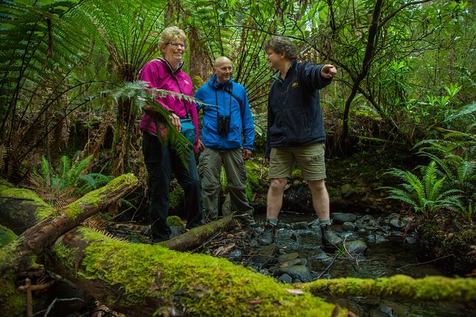 Bruny Island Traveller - Gourmet Tasting and Sightseeing Day Trip from Hobart - The Neck lookout and Bruny’s best view