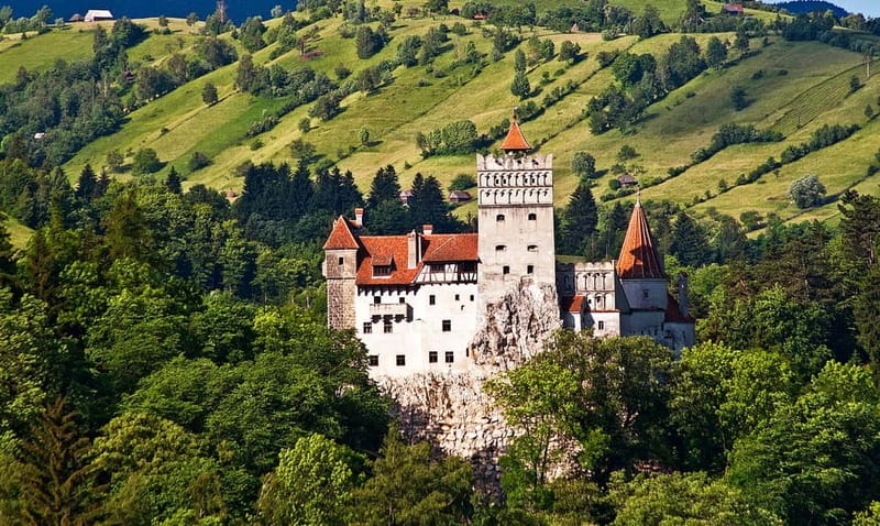 Bucharest: Day Trip to Bear Sanctuary, Bran Castle & Brasov - Meeting rescued bears at Libearty in Zarnesti