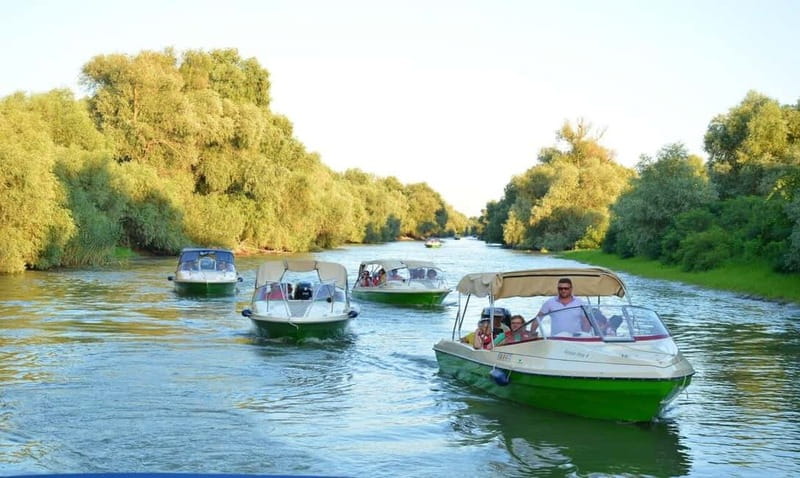Bucharest: Day Trip to Danube Delta Small Group Premium Tour - The speedboat through the Danube Delta