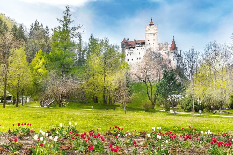 Bucharest: Day Trip to Dracula Castle, Peles Castle & Brașov - Who should book this experience?