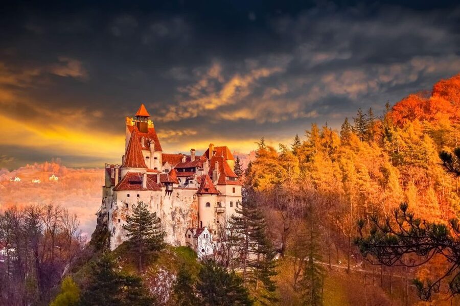 Bucharest: Dracula's Castle, Peleș Castle & Brașov Day Trip - Key points to know before booking