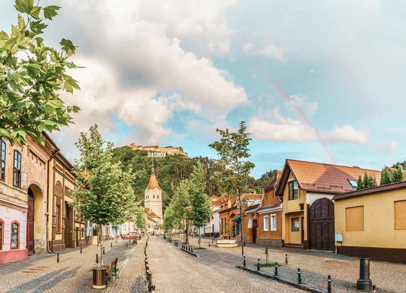 Bucharest: Dracula's Castle, Peleș Castle & Brașov Day Trip - Walking, weather, and who should skip it