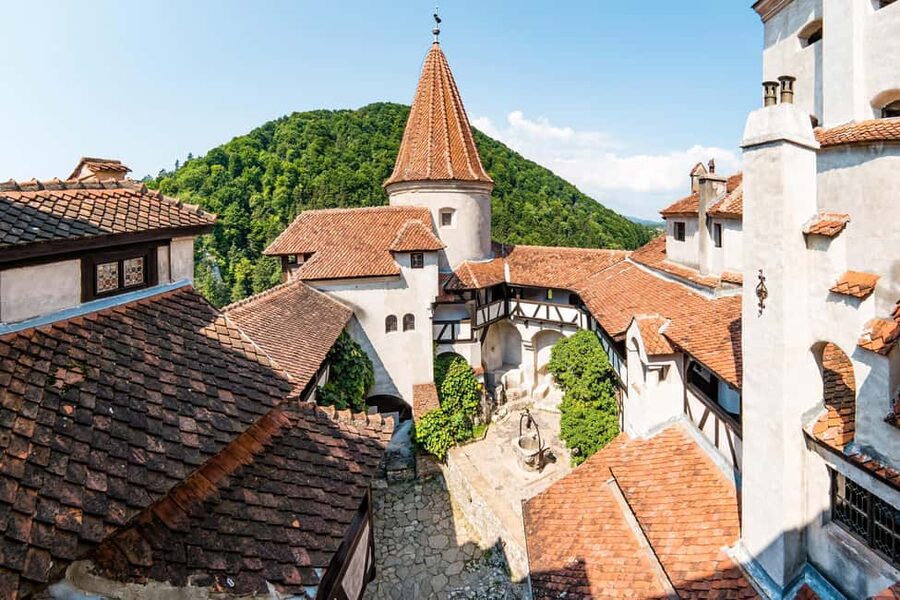 Bucharest: Peles Castle, Bran Castle & Brasov Day Trip - Who should book this experience?