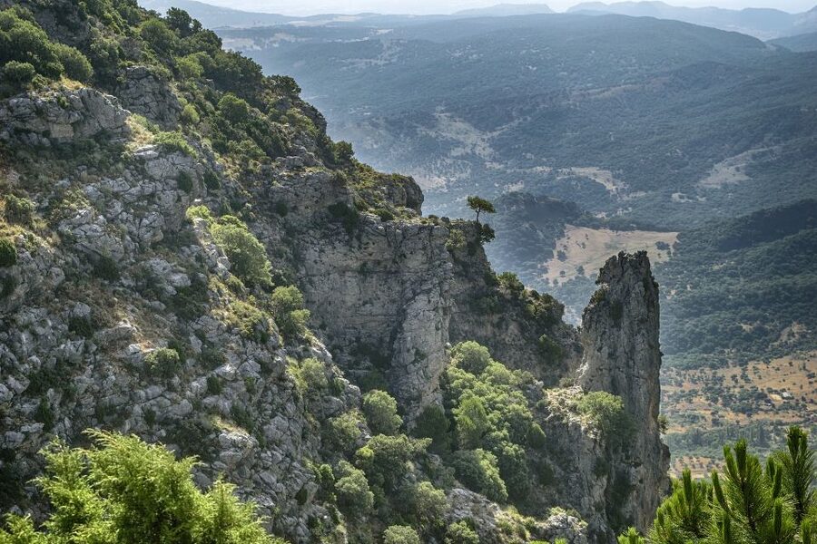 Cadiz, Jerez or El Puerto: White Towns of Andalusia Day Trip - Who should book this white-village outing?
