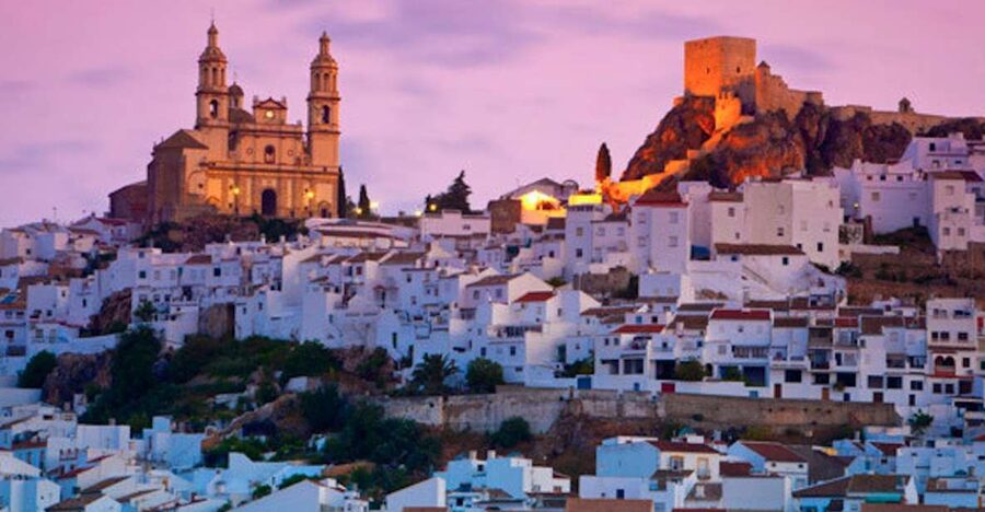 Cadiz, Jerez or El Puerto: White Towns of Andalusia Day Trip - Bornos and Ribera Palace set the tone