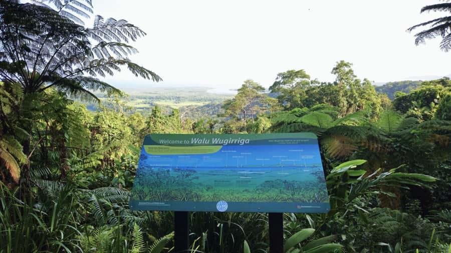 Cairns: Daintree, Mossman Gorge, & Cape Tribulation Day Trip - Five things to know before booking