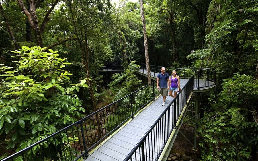 Cairns: Daintree, Mossman Gorge, & Cape Tribulation Day Trip - Mossman Gorge, clear water, and a smart packing tip