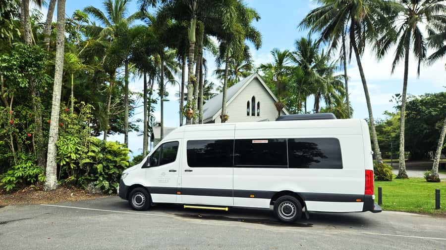 Cairns: Daintree, Mossman Gorge, & Cape Tribulation Day Trip - Crocodiles on the Daintree River