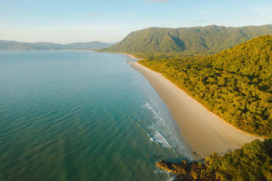 Cairns: Daintree, Mossman Gorge, & Cape Tribulation Day Trip - The coastal road, Rex Lookout, and Port Douglas