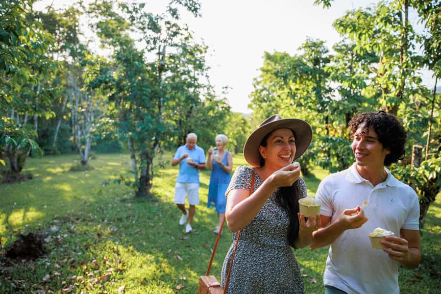 Cairns: Daintree Rainforest & Cape Tribulation Day Trip - Why this one-day route works