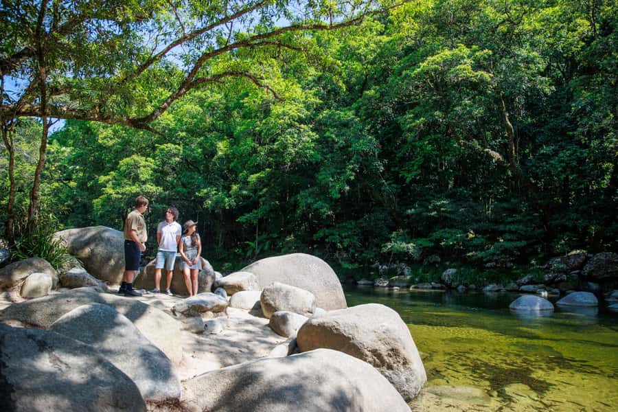 Cairns: Daintree Rainforest & Cape Tribulation Day Trip - A one-hour Daintree River cruise
