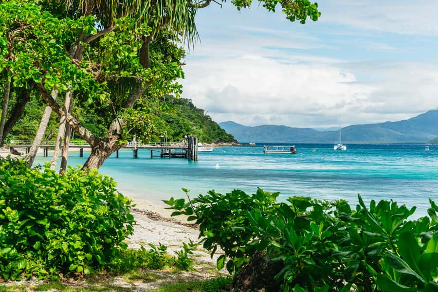 Cairns: Fitzroy Island Full-Day Trip with Optional Extras - The 45-minute ferry from Cairns